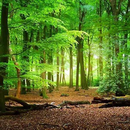 Hotel Pti Eichwald Bad Wörishofen