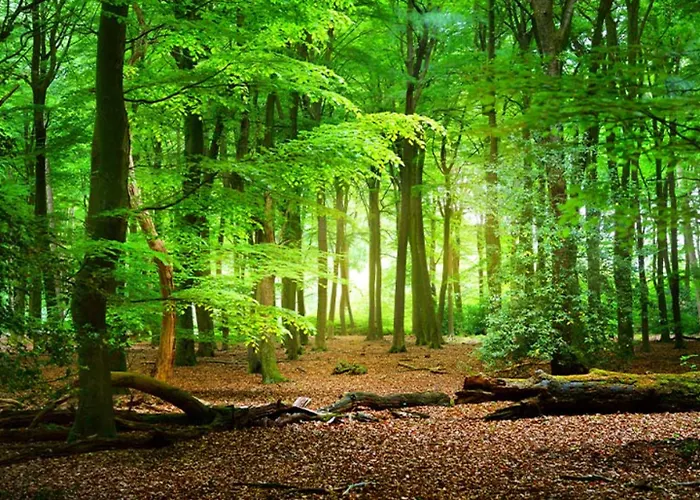 Ξενοδοχείο Pti Eichwald Bad Wörishofen